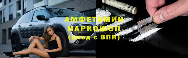 мет Алексин