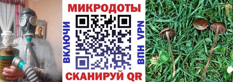 Псилоцибиновые грибы MAGIC MUSHROOMS  где продают наркотики  Орёл 