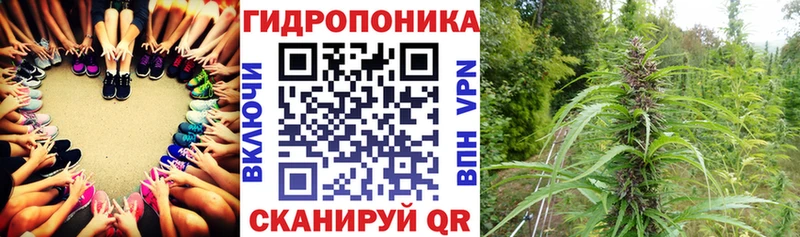 Шишки марихуана план  Орёл 
